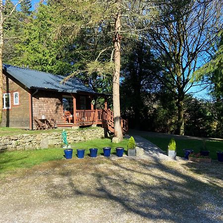Willow Lodge Дублин Экстерьер фото